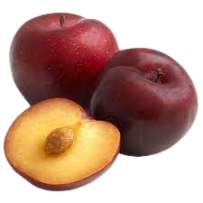 Plum